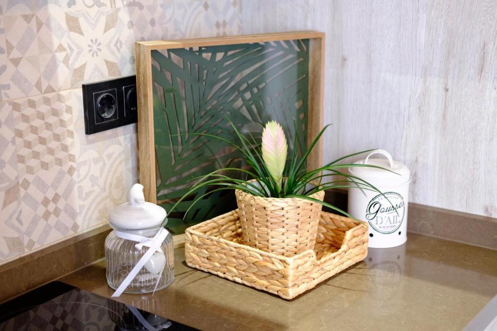 Apartamento Vintage En El Centro De Малага Екстериор снимка